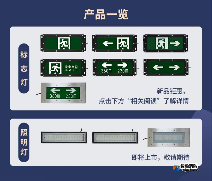 海灣IP65系列高防護燈具產品